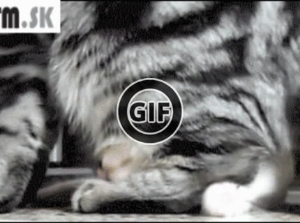 BRATM GIF: A nikam ťa nepustím ! :D