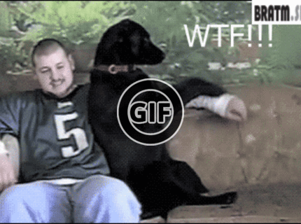 BRATM GIF:  Skutočný mazlíček :D