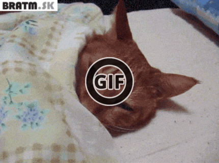 BRATM GIF: Mne sa ešte nechce vstávať :D