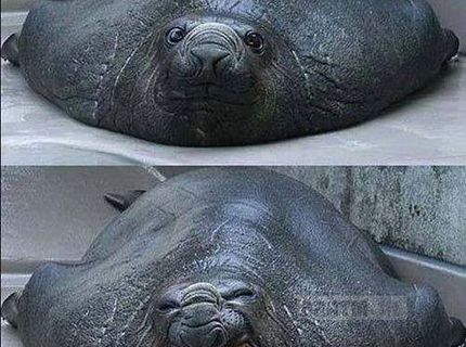 Sýýýýr ! :D a najkrajší úsmev je na svete :D