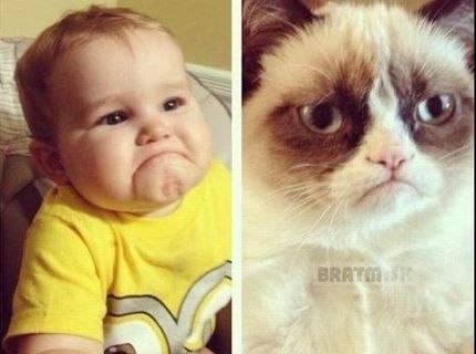 Dokonalá podoba :D túto mačku pozná každý :D