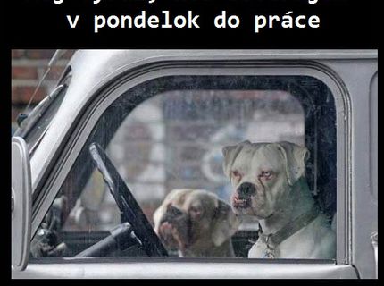 CHCEŠ VIDIEŤ AKO VYZERÁŠ KAŽDÝ PONDELOK RÁNO?:D:D