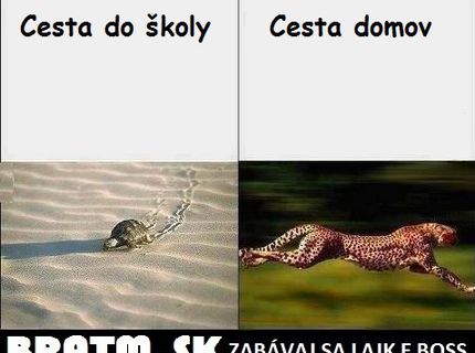 FOTO: Naše putovanie do školy a zo školy :D:D:D