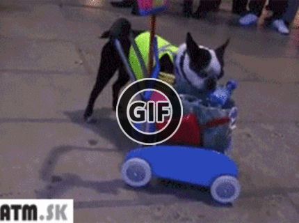 BRATM GIF: Berme si príklad ! :)