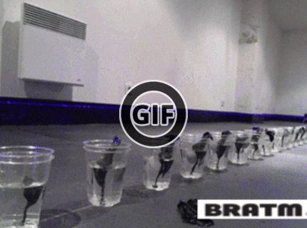 BRATM GIF: FASCINUJÚCE LASEROVÉ DIVADLO ! MUSÍŠ VIDIEŤ !!!!