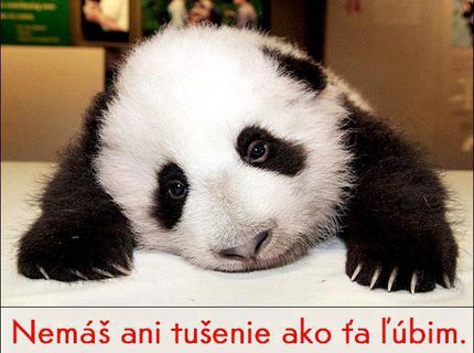 Skús to dať najavo