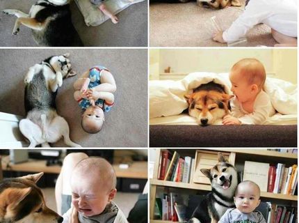 Jeden krajší ako druhý