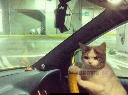 Nemáme čas, nasadaj ! :D