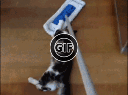 BRATM GIF: Nastupovááááť ! :D