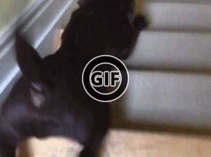 BRATM GIF: Tak toto nemá chybu ! :D