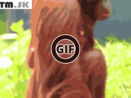 BRATM GIF: Úžasné :) slušnosť káže piť z fľaše :D