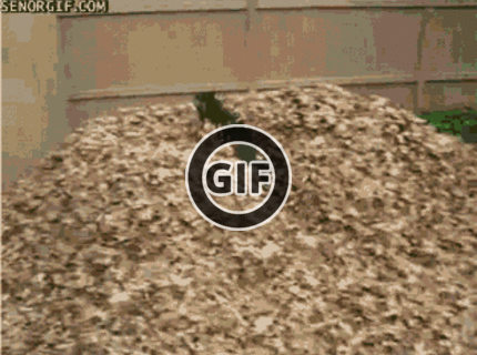 BRATM GIF: Psie šantenie :D