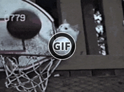 BRATM GIF: Najlepší pomocník v basketbale :D