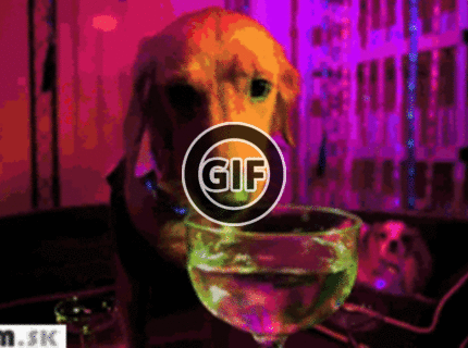 BRATM GIF: Psia techno party :D