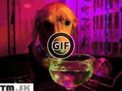 BRATM GIF: Ako by vyzerala psia techno party :D