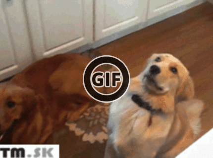 BRATM GIF: HA-Ha :D ten je ale podarený :D