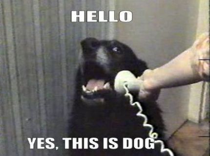 Ahoj, Áno tu je ...