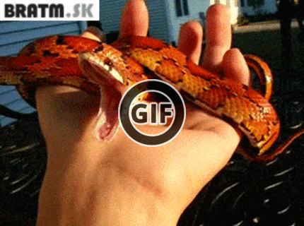 BRATM GIF: Čas na odpočinok, je tu ešte niekto unavený ? :)