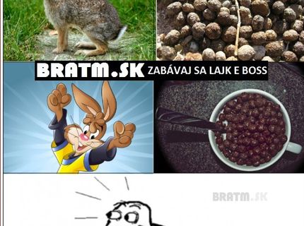 Čo nám pripomínajú naše obľúbené cereálie :D