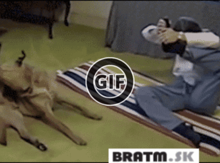 BRATM GIF: Súťaž o to, kto si dá rýchlejšie nohu za hlavu :D