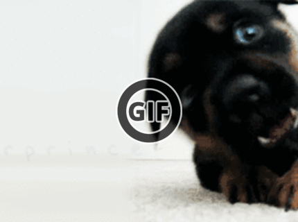 Prilož prst na čiernu bodku a neboj sa!