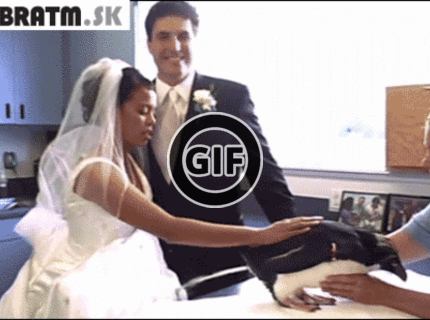BRATM GIF: Najnechutnejšia svadobná nehoda :D