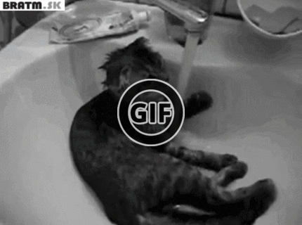 BRATM GIF: Takto vyzerá nuda v sprche :D