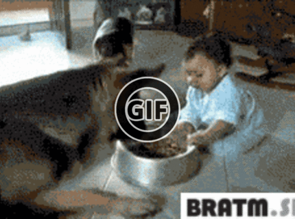 BRATM GIF: Podarené :) súboj o jedlo :D