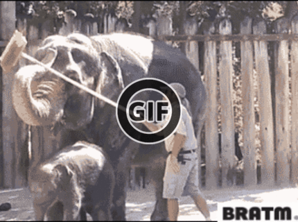 BRATM GIF: Nechaj tak, urobím to sám :D