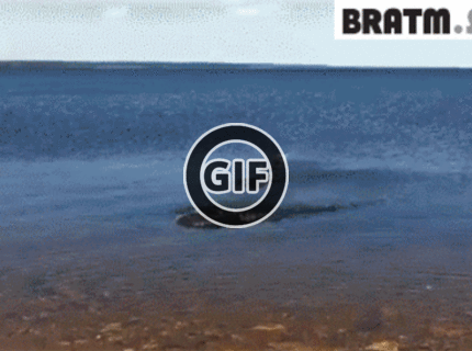 BRATM GIF: Majster v hádzaní ,,žabiek,, :D podarilo sa už aj tebe niečo podobné ? :)