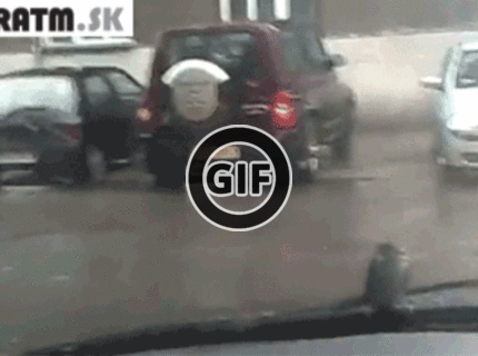 BRATM GIF: Haluzné ! :D vták na stieračoch nechce odletieť :D