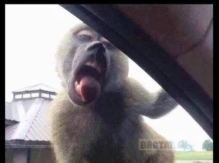 Našla sa dvojníčka Miley Cyrus !!! :D :D