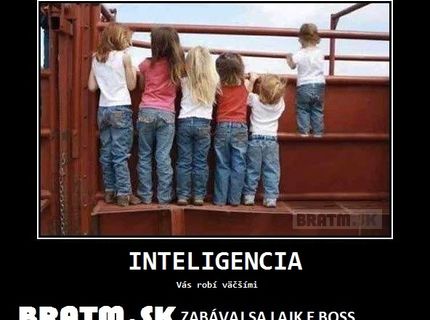 :) Pravdivé... niekedy stačí trošku pohnúť rozumom :D