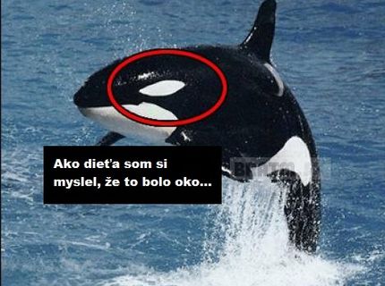 Aj vy ste si ako deti mysleli , že je to oko ? :D