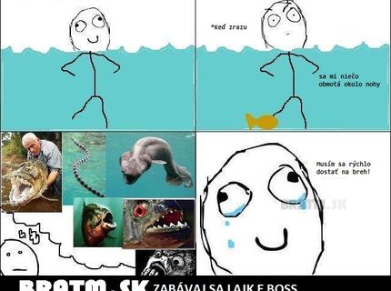 Počas plávania v mori máme tie najdesivejšie predstavy :D
