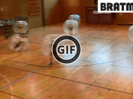 BRATM GIF: LoooL, tak toto musí byť sranda :D