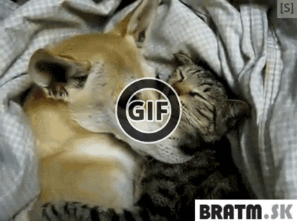 BRATM GIF: Krásne :) Láska je láska :D