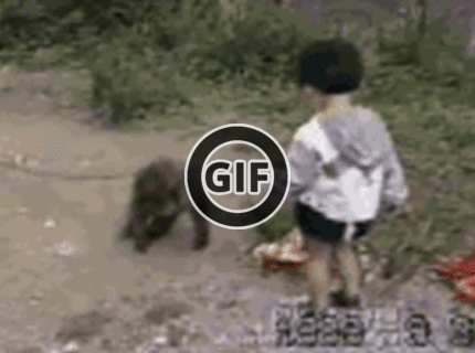 BRATM GIF: Niektoré zvieratá jednoducho vedia ako na to :D