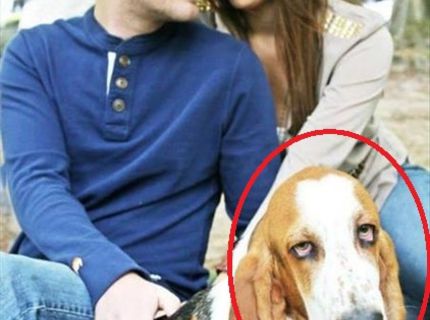 Výraz tohto psa hovorí za všetko :D :D