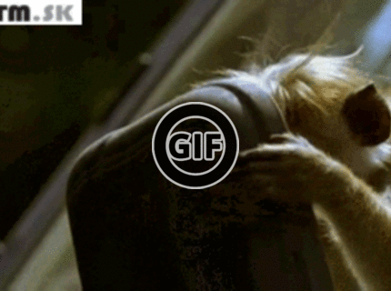 BRATM GIF: Čo dokáže spôsobiť ranný pohľad do zrkadla :D