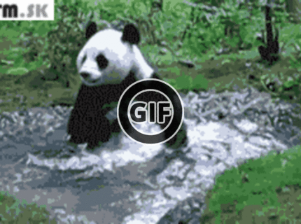 BRATM GIF: Čas na kúpeľ :D