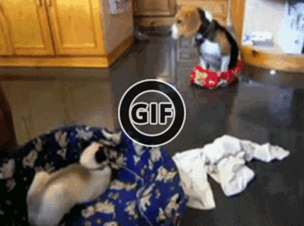 BRATM GIF: A presne takýto je život so ženou :D