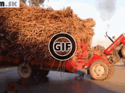 BRATM GIF:  Tak toto je maník :D