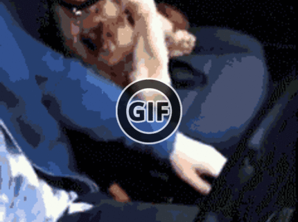 BRATM GIF: AKÉ KRÁSNE ! :) Psík sa chce držať za ruku :)