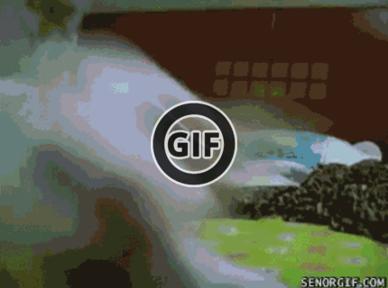 BRATM GIF: Najrýchlejší pes na svete ! :D podarené :)