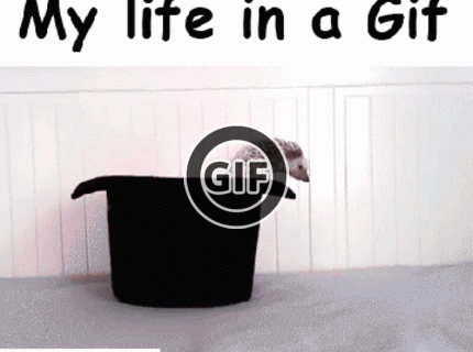 BRATM GIF: My life in a GIF :D