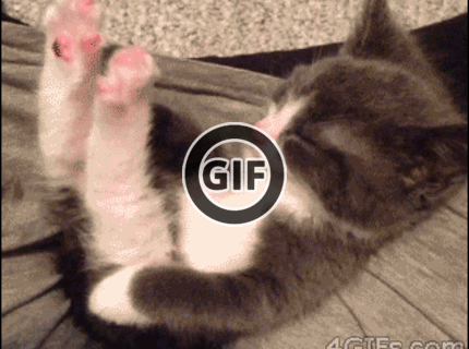 BRATM GIF: Aké roztomilé spiace ňuňu :)))))