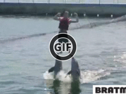 BRATM GIF: Wau, dokonalá spolupráca s delfínmi :D