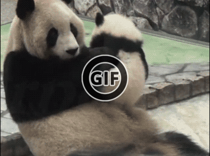 BRATM GIF: Nádhernééé ! :) toto je skutočná láska :)