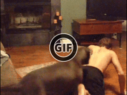 BRATM GIF: Chudáčik, ako sa ho zľakol :D